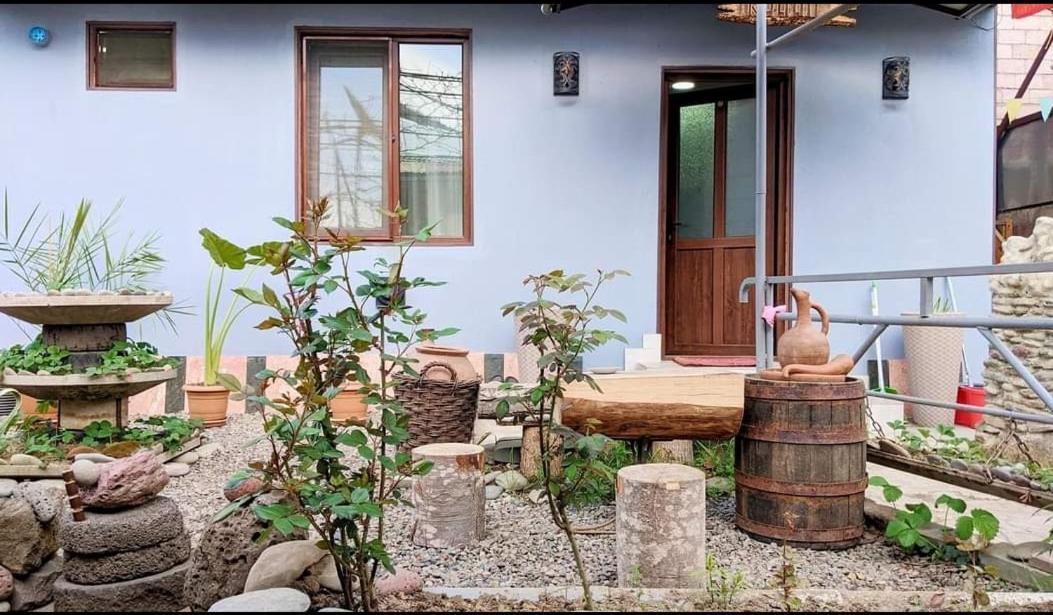 Rudolf Apartment Borjomi Exterior photo