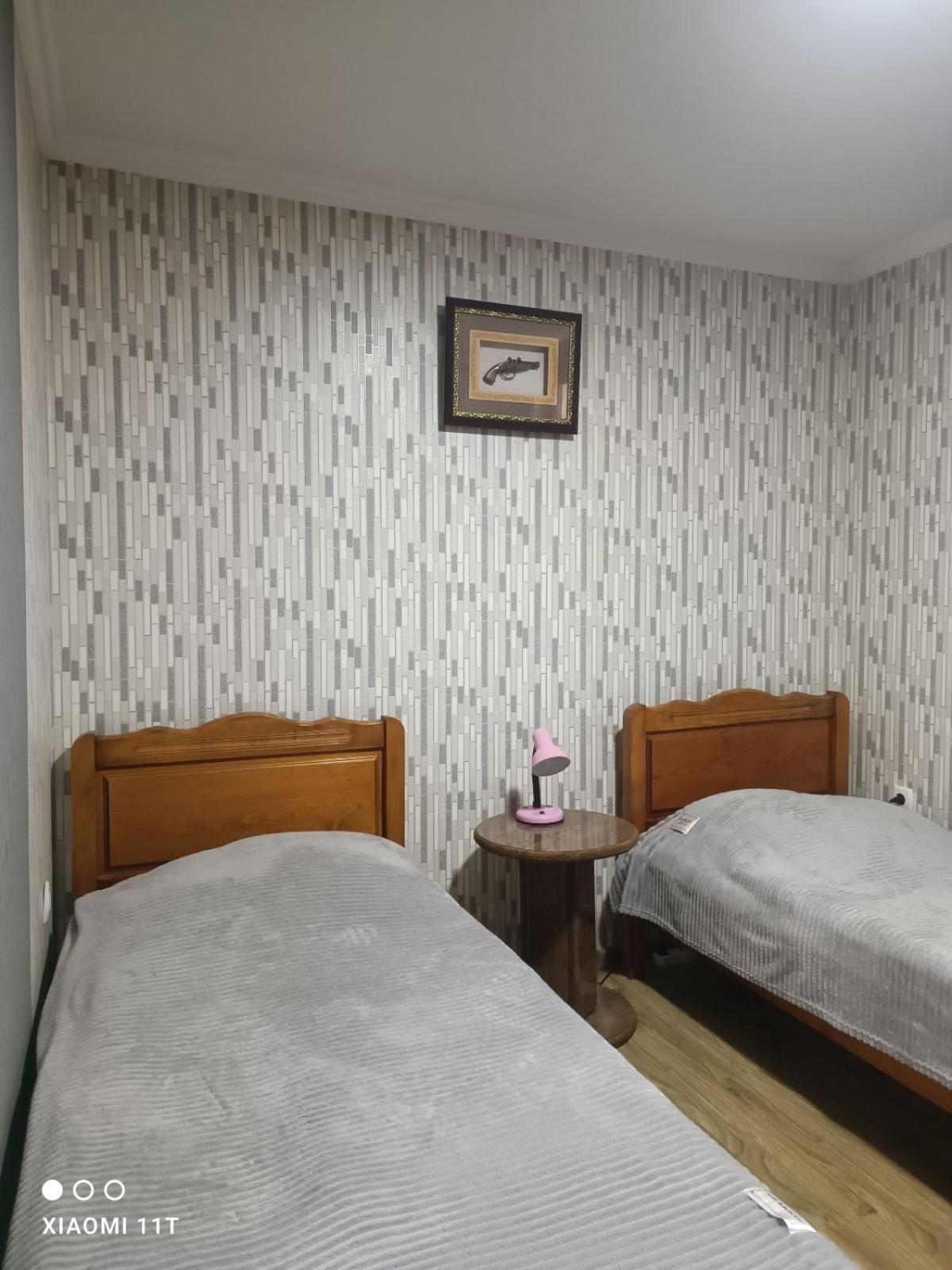 Rudolf Apartment Borjomi Exterior photo