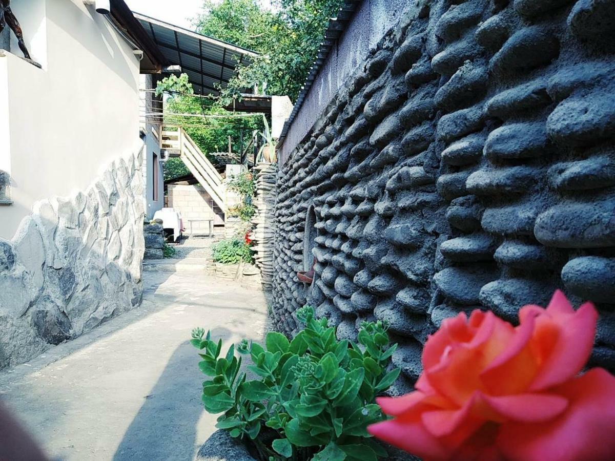 Rudolf Apartment Borjomi Exterior photo